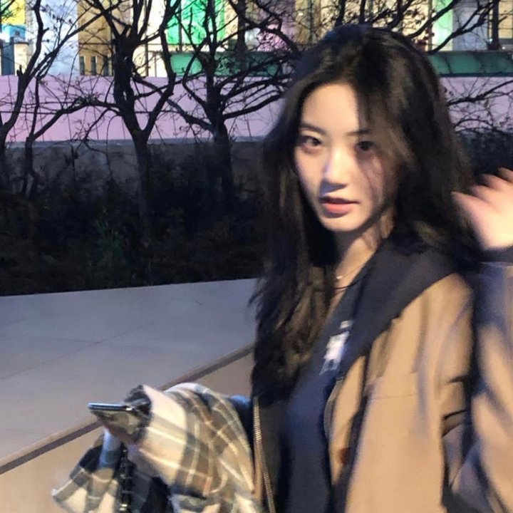 山之王免费在线观看
