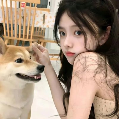 珍布免费在线观看